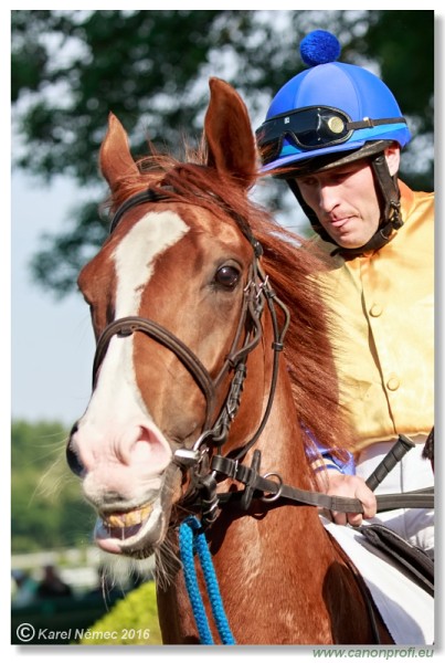 Bratislava - 22. mja 2016 