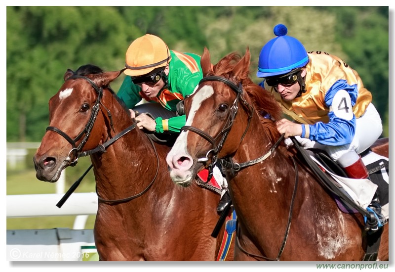 Bratislava - 22. mja 2016 