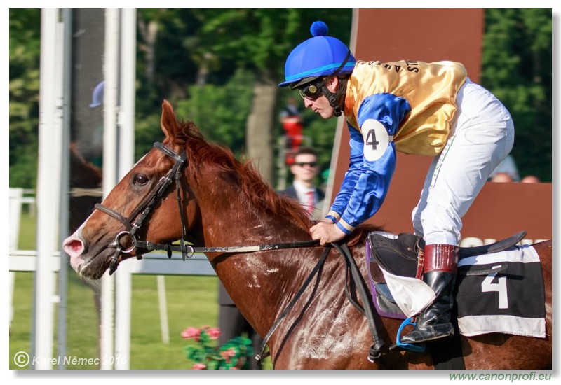 Bratislava - 22. mja 2016 