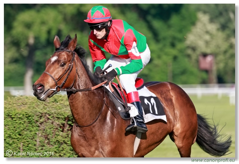 Bratislava - 22. mja 2016 