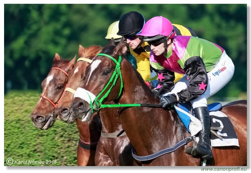 Bratislava - 22. mja 2016 