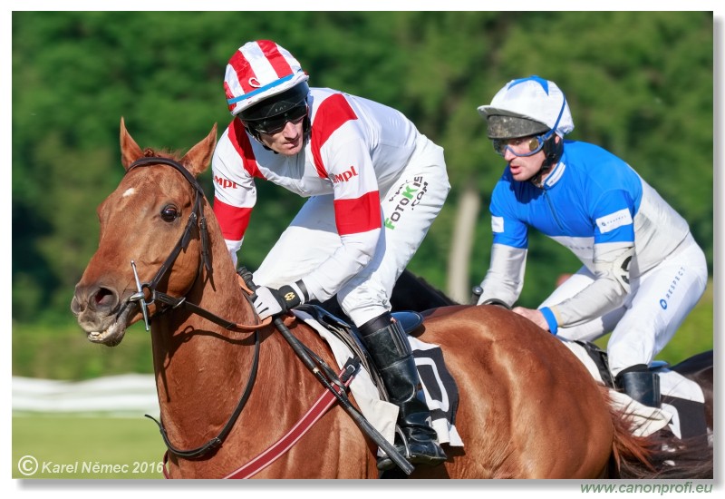 Bratislava - 22. mja 2016 