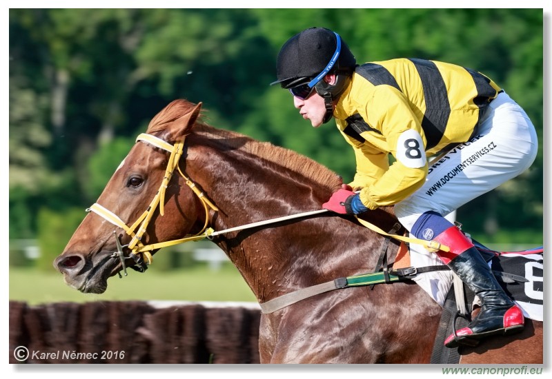 Bratislava - 22. mja 2016 