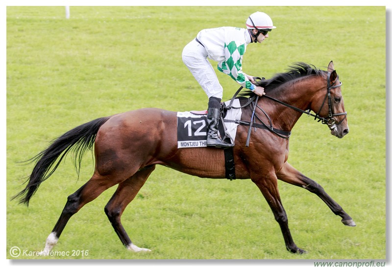 Bratislava - 05. jna 2016 