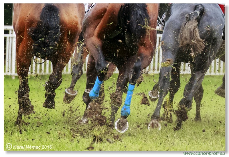 Bratislava - 05. jna 2016 