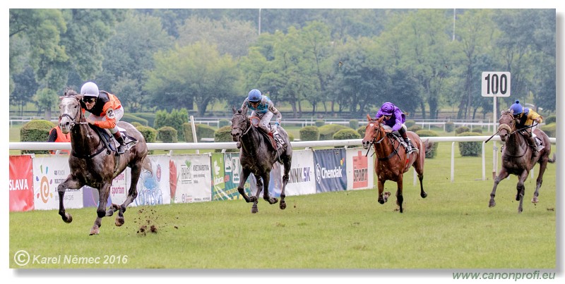 Bratislava - 05. jna 2016 