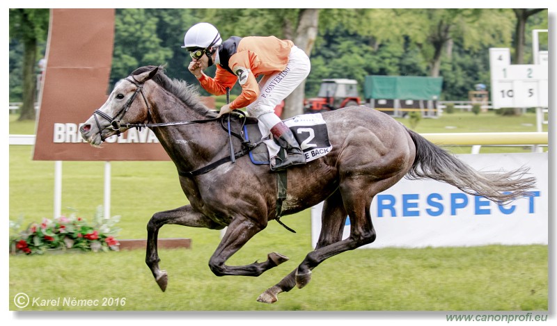 Bratislava - 05. jna 2016 