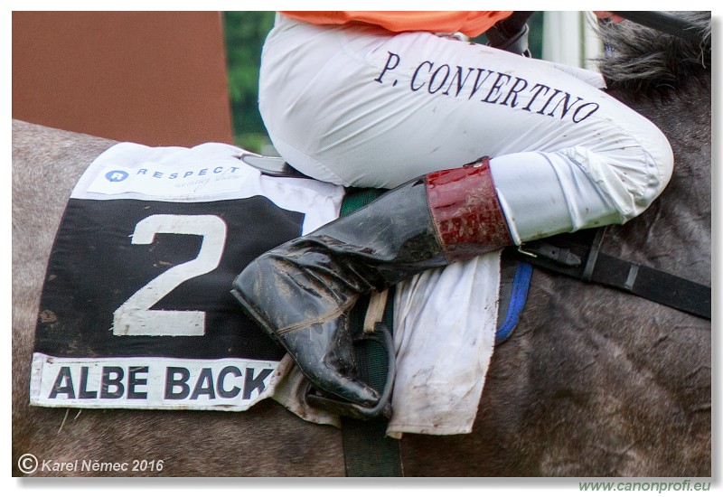 Bratislava - 05. jna 2016 