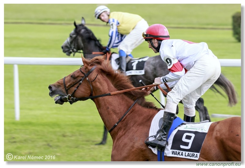 Bratislava - 05. jna 2016 