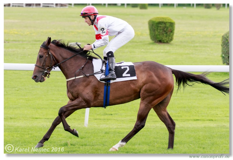 Bratislava - 17. jla 2016 