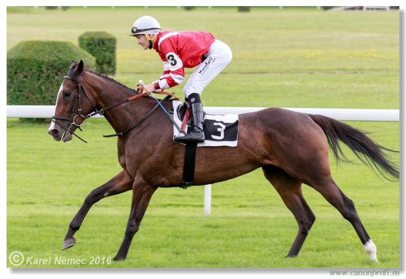 Bratislava - 17. jla 2016 