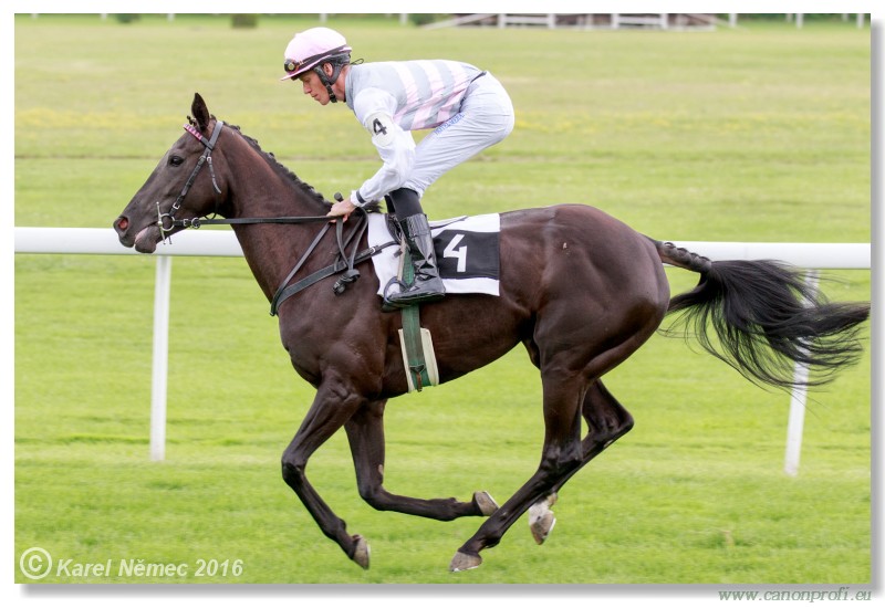 Bratislava - 17. jla 2016 