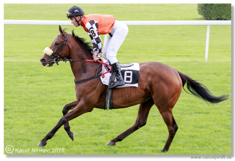 Bratislava - 17. jla 2016 