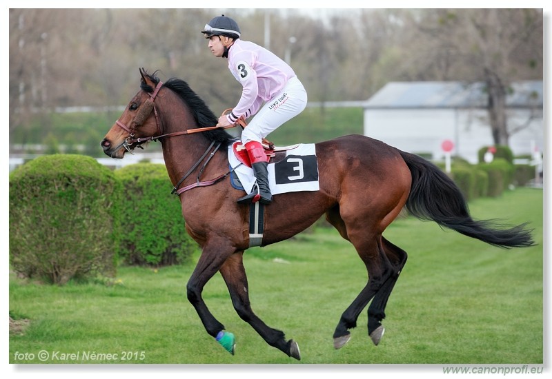 Bratislava - 12. aprla 2015 