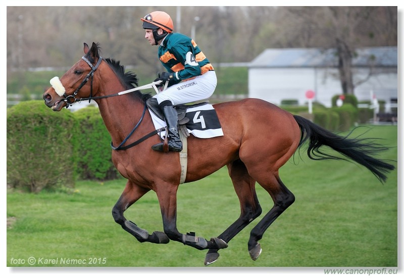 Bratislava - 12. aprla 2015 