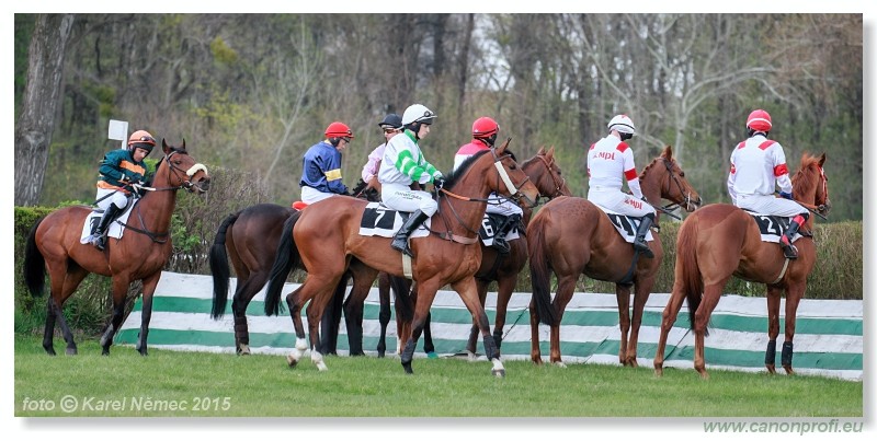 Bratislava - 12. aprla 2015 