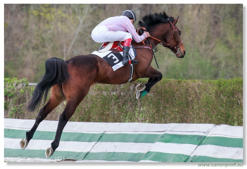 Bratislava - 12. aprla 2015 