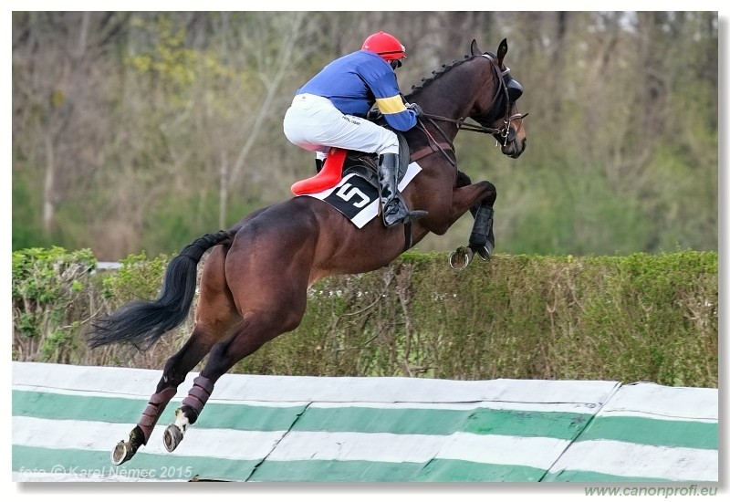 Bratislava - 12. aprla 2015 