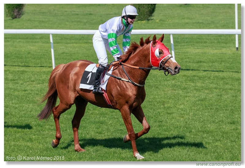 Bratislava - 19. aprla 2015 