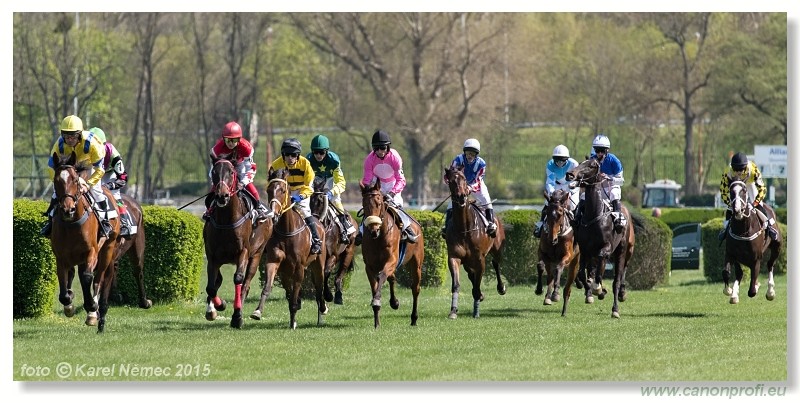 Bratislava - 19. aprla 2015 