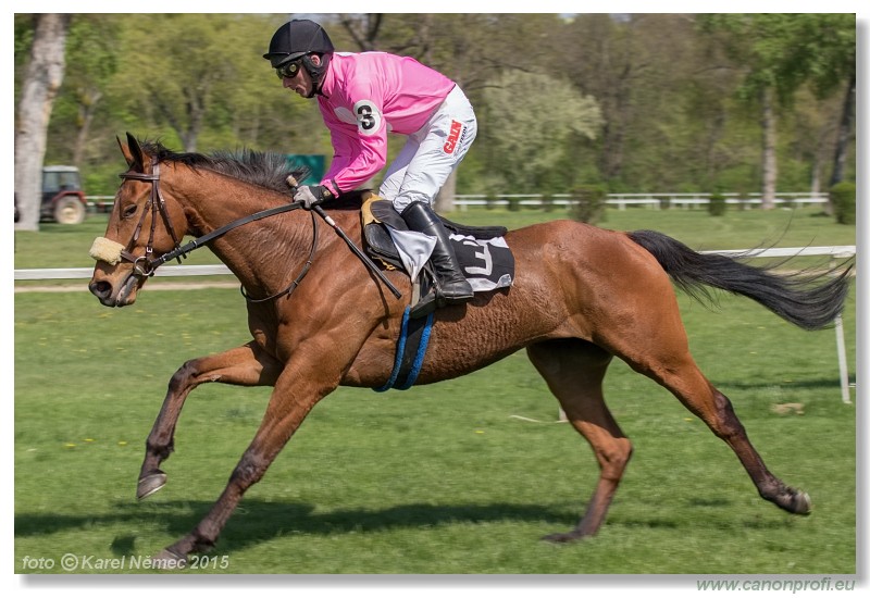 Bratislava - 19. aprla 2015 