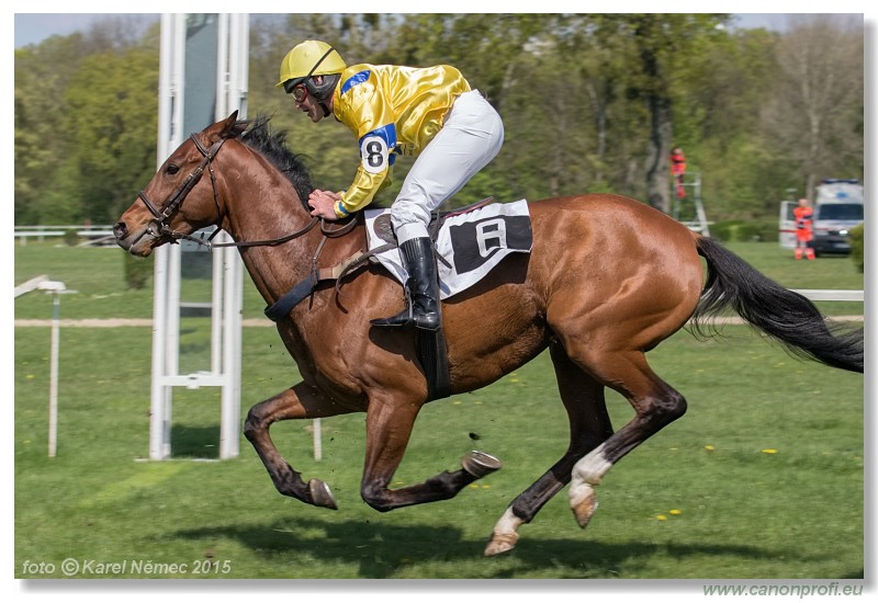 Bratislava - 19. aprla 2015 