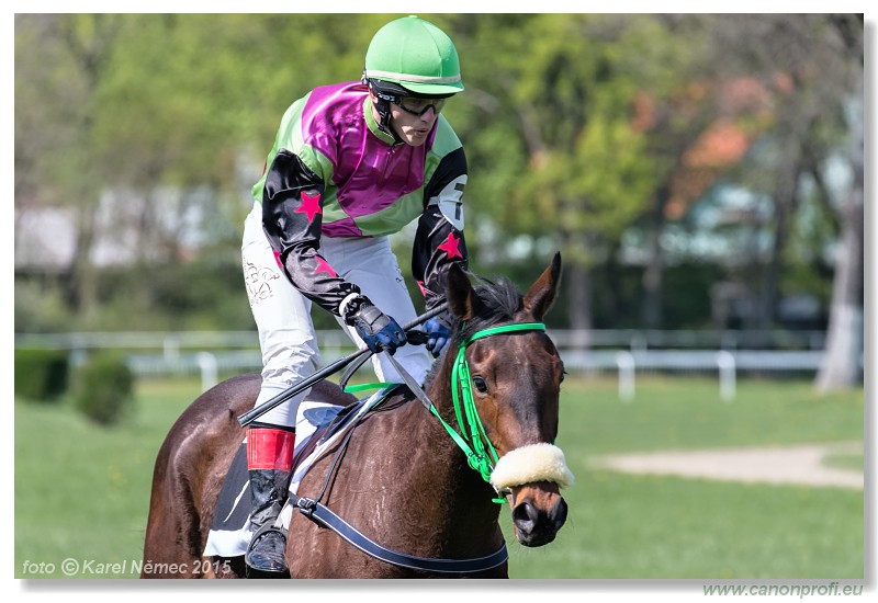 Bratislava - 19. aprla 2015 