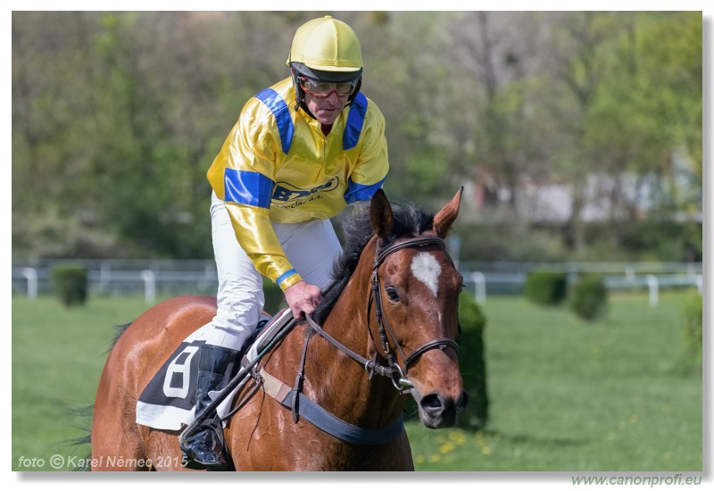 Bratislava - 19. aprla 2015 