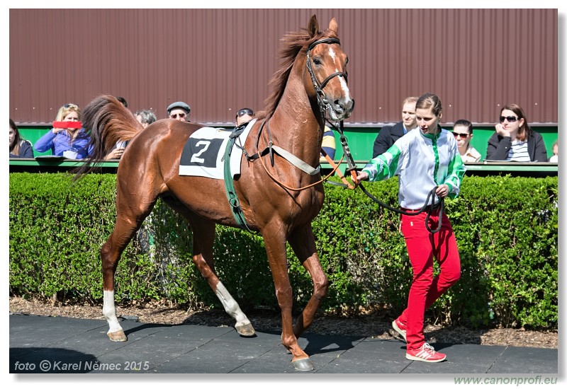 Bratislava - 19. aprla 2015 