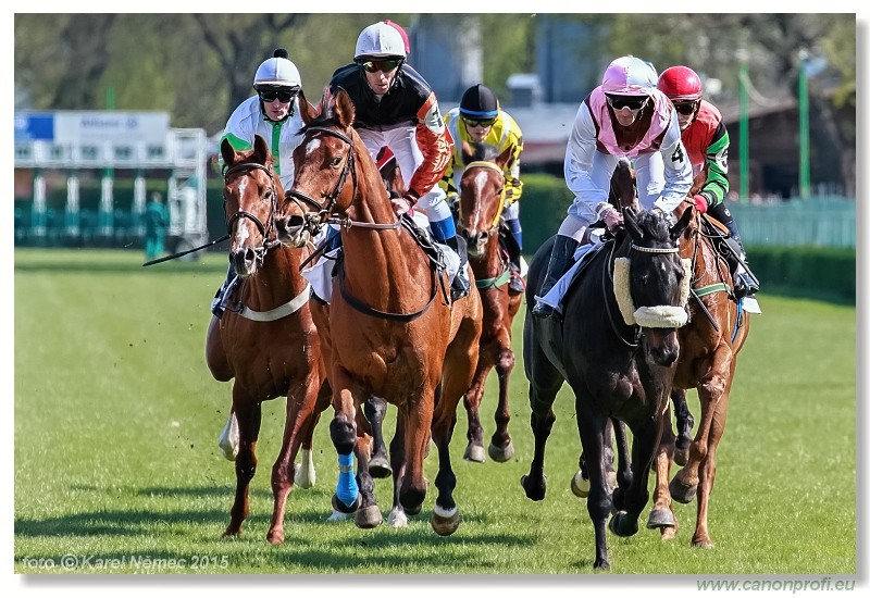 Bratislava - 19. aprla 2015 