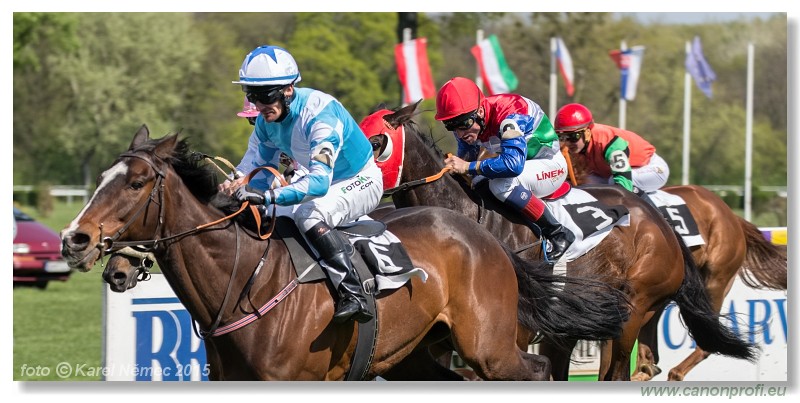 Bratislava - 19. aprla 2015 