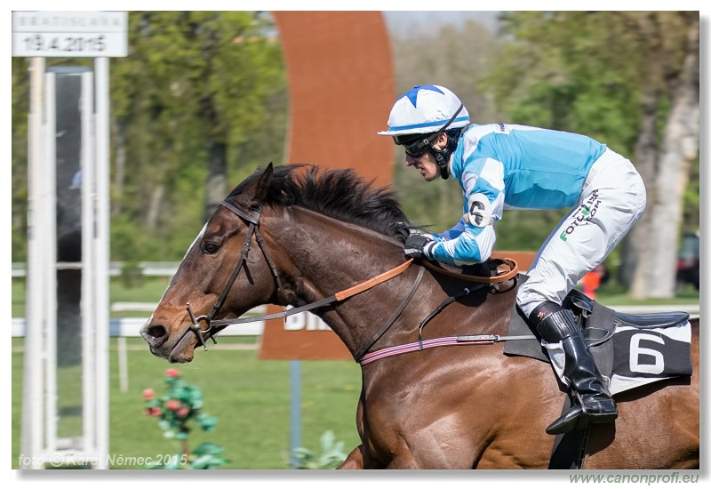 Bratislava - 19. aprla 2015 