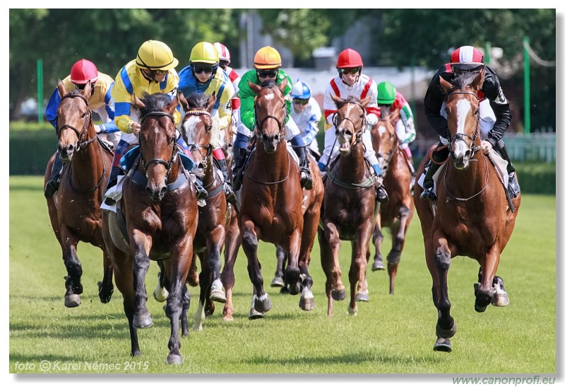 Bratislava - 17. mja 2015 