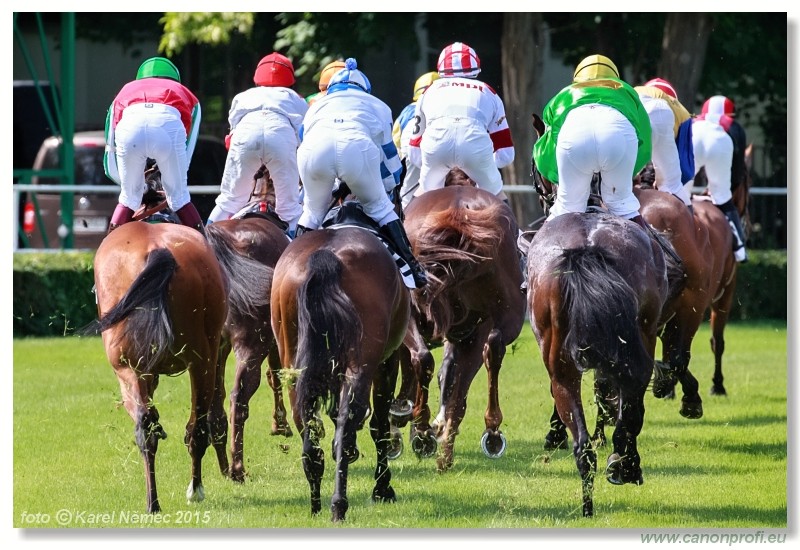 Bratislava - 17. mja 2015 