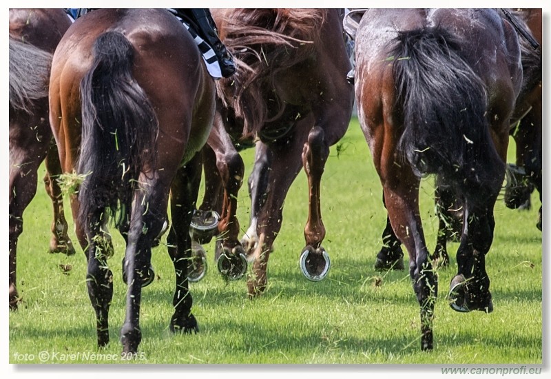 Bratislava - 17. mja 2015 