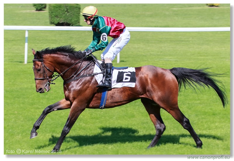 Bratislava - 17. mja 2015 