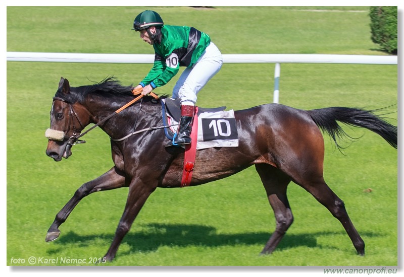 Bratislava - 17. mja 2015 