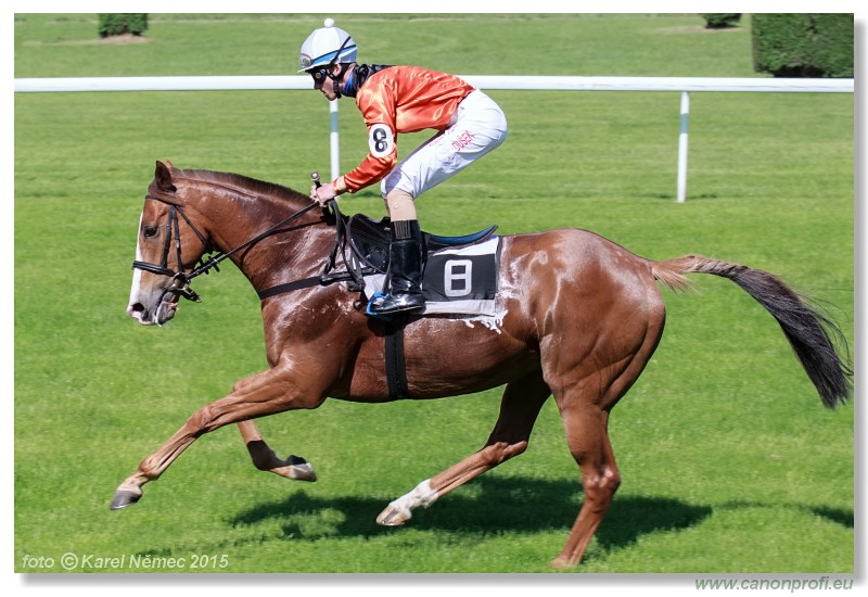 Bratislava - 17. mja 2015 