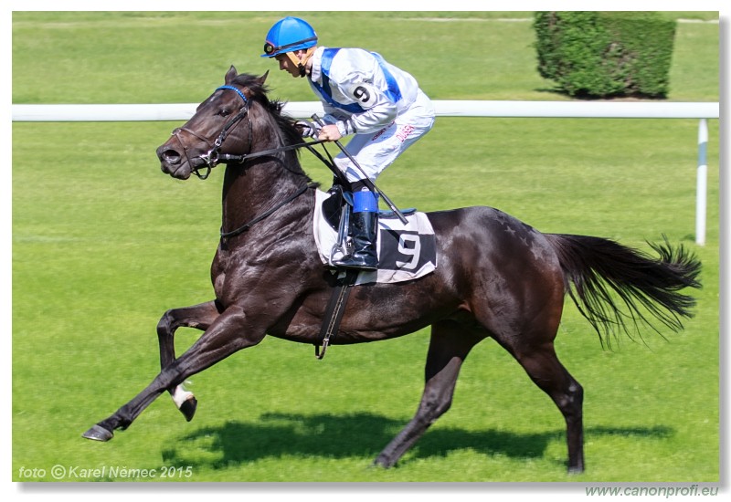 Bratislava - 17. mja 2015 