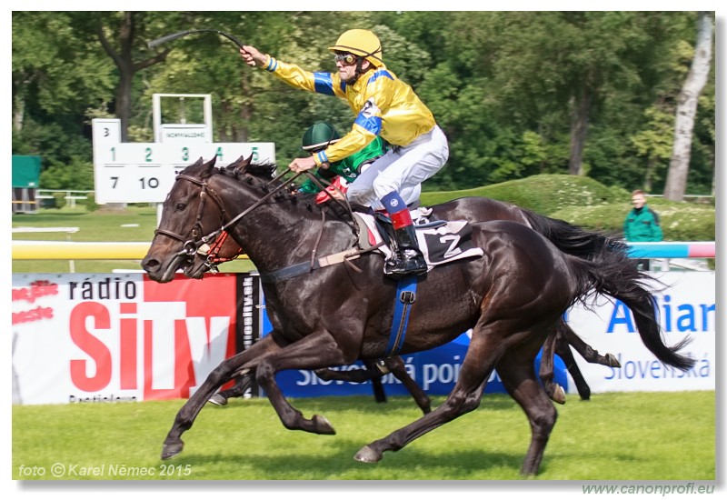 Bratislava - 17. mja 2015 