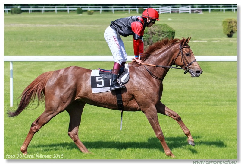 Bratislava - 17. mja 2015 