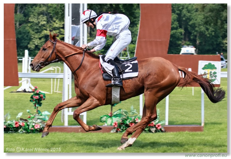 Bratislava - 24. mja 2015 