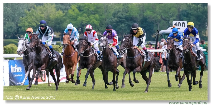 Bratislava - 07. jna 2015 