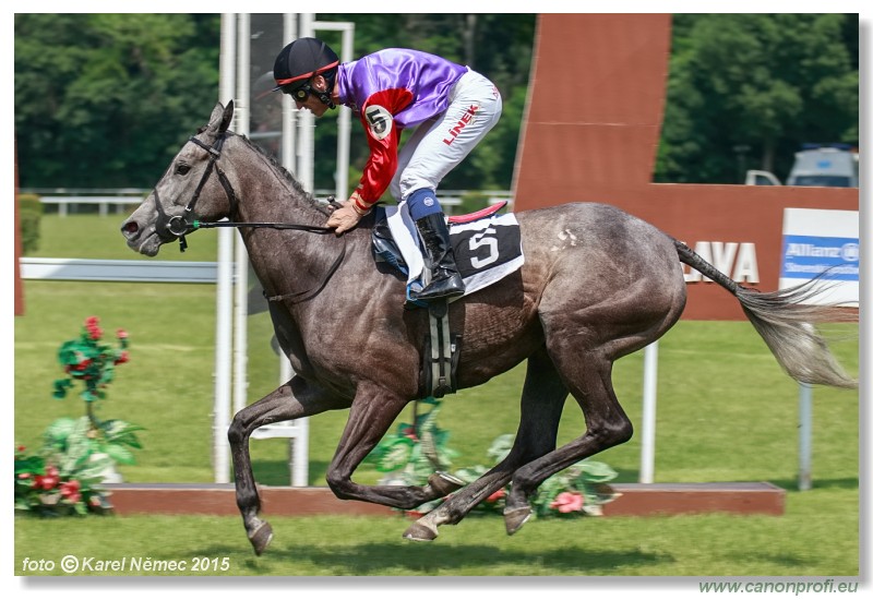 Bratislava - 07. jna 2015 