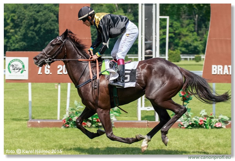 Bratislava - 07. jna 2015 