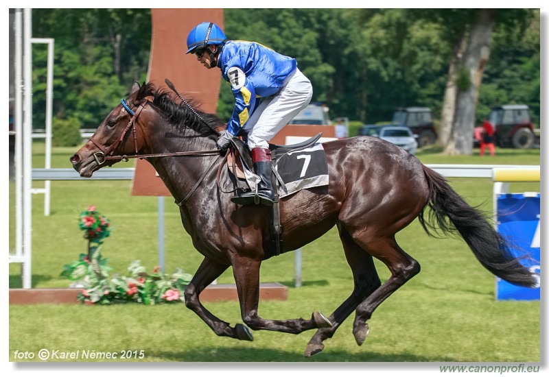 Bratislava - 07. jna 2015 