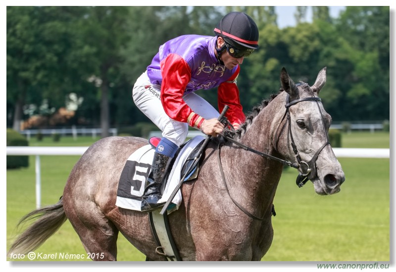 Bratislava - 07. jna 2015 