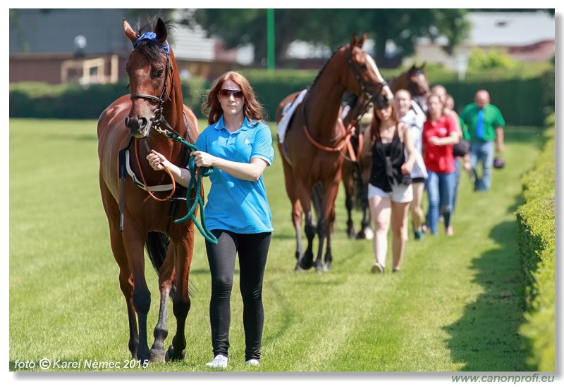 Bratislava - 07. jna 2015 