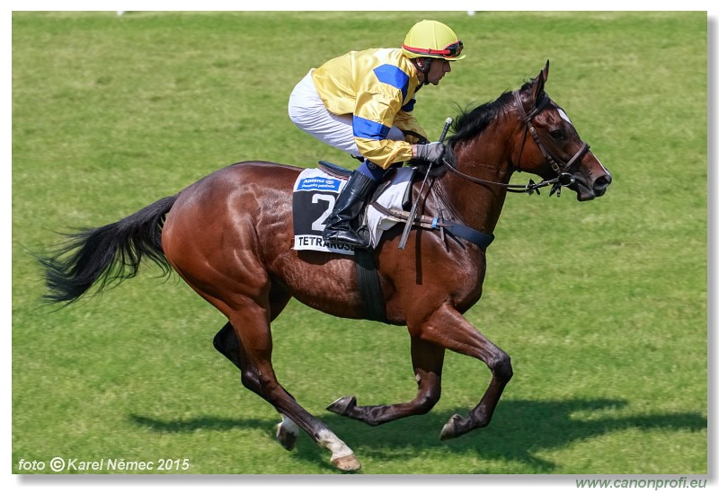 Bratislava - 07. jna 2015 