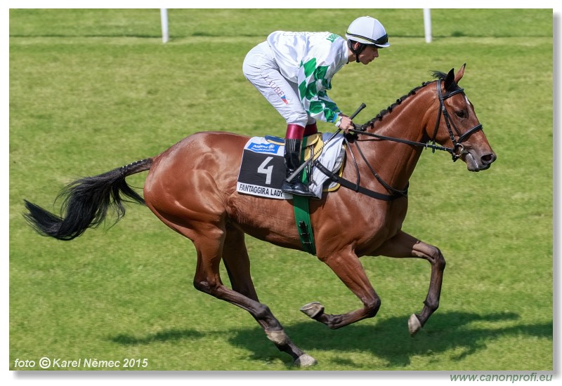 Bratislava - 07. jna 2015 